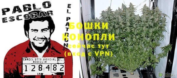 спиды Медногорск