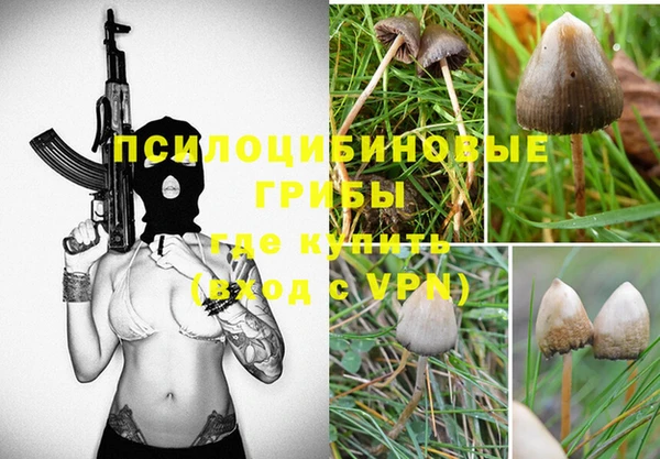 спиды Медногорск