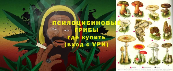 спиды Медногорск